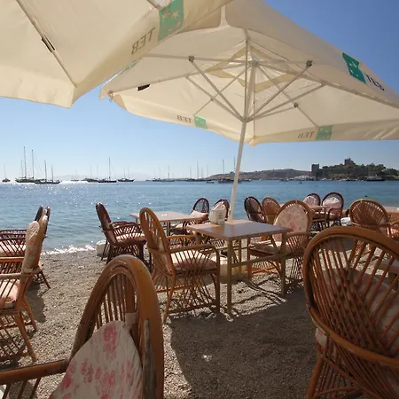 Dinc Nocleg ze śniadaniem