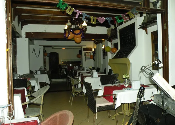 Dinc 4*