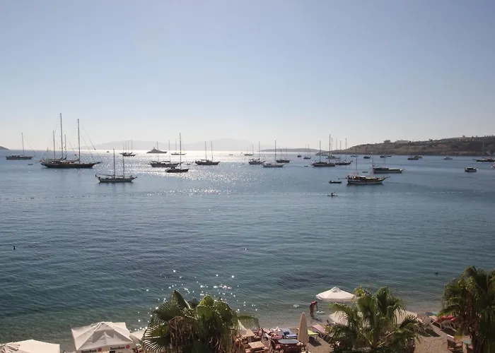 Dinc