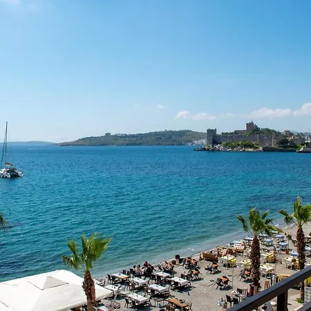 Dinc Αλικαρνασσός