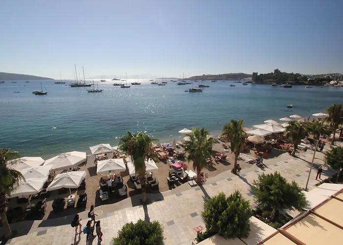 Couette-café Dinc Bodrum