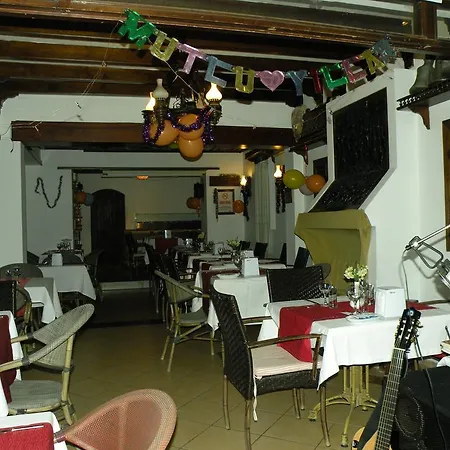Dinc 4*